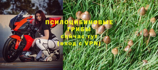 экстази Баксан