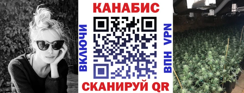 Конопля гибрид  Северо-Курильск 